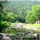 석천할아버지 이미지