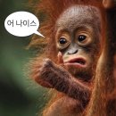 야떡볶이다 이미지