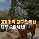 송이목장 | 제주 목장카페 밭디 승마코스 추천 솔직 후기 5살 아이부터 칠순 부모님까지 만족!