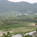 백전식당 이미지