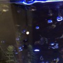 수조경로당 이미지