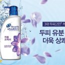 프레쉬앤 이미지