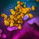 우리들소아청소년과의원 이미지