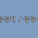 곰곰이 티스토리
