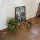 세븐일레븐 고성북로점 | 대구 북구 카페 | 크래프터갸또 | 아쉬움 가득한 내돈내먹 후기 (라즈베리초코갸또)