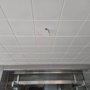 거북빌딩 이미지