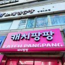 캐치팡팡 이미지