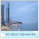 해운대로 | 해운대 해수욕장 부산 가볼만한 곳 당일치기 여행 추천