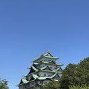 혼마루 | 일본 나고야🇯🇵 | 나고야성(천수각, 혼마루) 후기