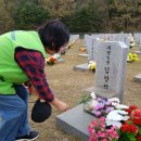 국립대전현충원 이미지