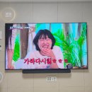 [후기] 가다실9 접종 - 수원 오케이365정형외과