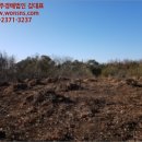 서구-01-146 이미지