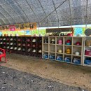 미소바이크 | [내돈내산] 강원쥬라기랜드 ATV 사륜 바이크 + 근처 횡성맛집 맛미소쌈밥 방문 후기까지!!