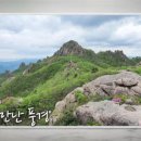 더본병원 이미지