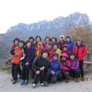 배꼽친구 이미지