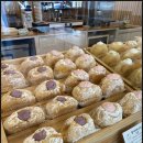 나리꼬모 춘천점 이미지