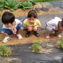 화곡농장 이미지