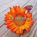인연 이미지