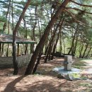 명대솔밭공원 화장실 이미지