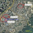 천년나무7 A 이미지