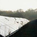 태양하우스 이미지