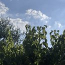 강남더원의원 이미지