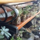 더아름다운약국 이미지