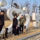 육군 군견훈련소 이미지