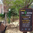 인천창영초등학교 이미지