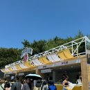 노래하는맥주광장 티스토리