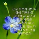 성 이시돌센타 이미지