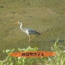 발짝발짝