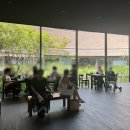 (주)금호타이어제주판매 | 제주 여행 서귀포 가볼만한곳 오설록티뮤지엄 후기