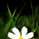 금지면 택촌마을 이미지