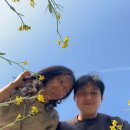 락온 스튜디오 | 기흥호수공원 유채꽃 후기ㅣ서울 근교 데이트로 딱인 용인 봄나들이