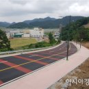 숲쟁이꽃동산 이미지