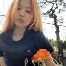 오렌지헤어 네이버블로그