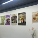 당곡목장 | [보라매 아이스크림] 고급진 찐우유맛🍦 밀크컨셉 봉천점 후기 (feat. 벌집꿀 그래놀라 더블 &amp; 크림브륄레)