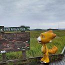 공룡공인중개사사무소 이미지