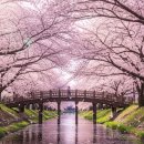 한산3교 이미지