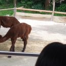 챔피온타워 이미지