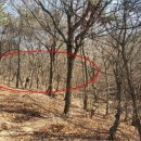 반송동251 이미지