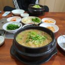 도촌마을회관 | 치킨에 교촌이 있디면 양구엔 ‘도촌’이 있다. 모범음식점 2곳 도촌삼계탕, 도촌막국수 리뷰