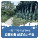 동삭2교 이미지