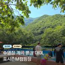배내골 포시즌 | 양산 원동 계곡 평상 대여 수영장 펜션 캠핑장, 포시즌M