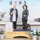 라온제나 이미지