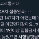 국대돈까스 - 용인시 처인구 | 국대돈까스