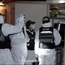감식
