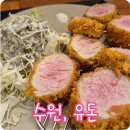 수원-1008 | 고색동 맛집 유돈 고색역 돈까스 혼밥하기 좋은 신규 오픈 맛집 후기