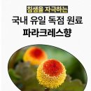 이다유통 | [코스트코 사탕 추천] 저탄고지 입냄새 싹! 신상 로젠지 캔디 대용량 내돈내산 후기
